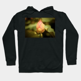 A Single Pink Lotus Bud Hoodie